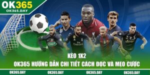 Kèo 1x2 - OK365 Hướng Dẫn Chi Tiết Cách Đọc Và Mẹo Cược