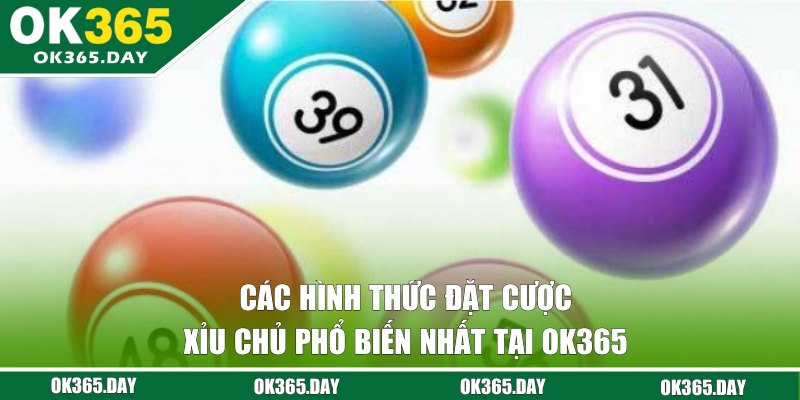 Các hình thức đặt cược cho người mới tham gia trải nghiệm